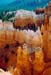 day6_bryce_hoodoos2