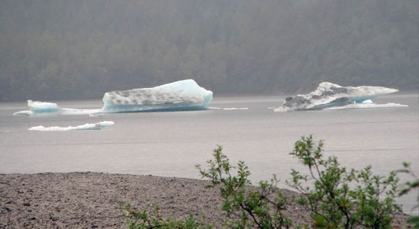 IMG_1406_edited-1