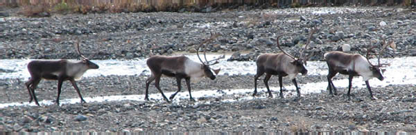 IMG_2665_edited-1
