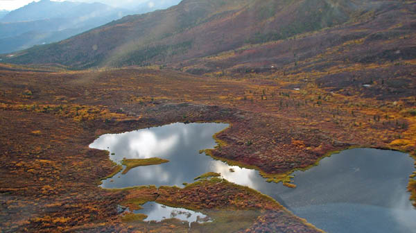IMG_2998_edited-1