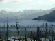 DSC01517_edited-1