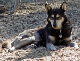 DSC01687_edited-2