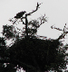 IMG_1304_edited-1