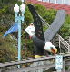 IMG_1332_edited-1