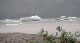 IMG_1406_edited-1