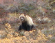 IMG_2712_edited-1