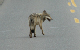 IMG_2756_edited-2