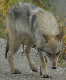 IMG_2760_edited-1