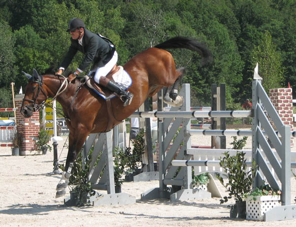 dorset_gr_prix_landing