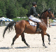 07dorset_best_gr_prix_handsome