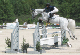 13dorset_best_gr_prix_white_oxer