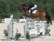 dorset_gr_prix_grey_jump