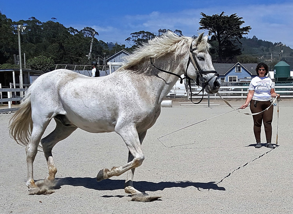 Cantering Left