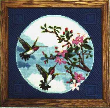 Humming Birds